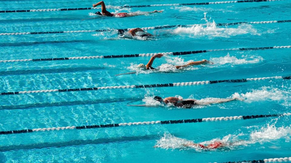 Mehrere schwimmende Personen in einem Sportbecken